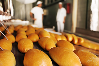 Großserienproduktion von frischen Brötchen in einer Bäckerei mit zwei Bäckern im Hintergrund.